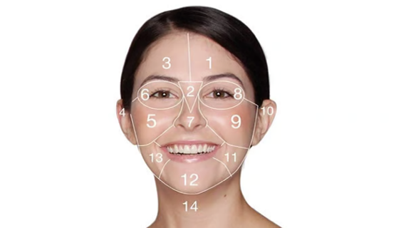 FaceMapping®
